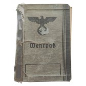 The Wehrpass issued to a person who failed medical check