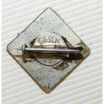 3rd Reich National association of gymnastic and sport trainers pin badge. Espenlaub militaria