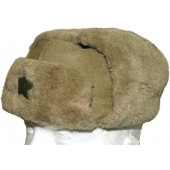 Red Army winter hat Shapka- Oushanka, M1940