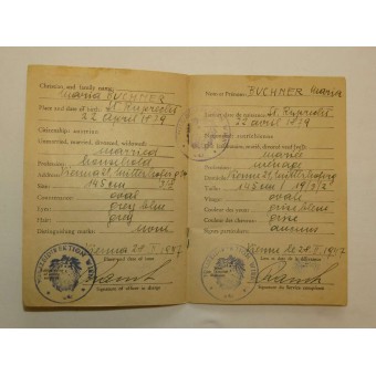 Austrian ID Card for period of allied occupation. Espenlaub militaria