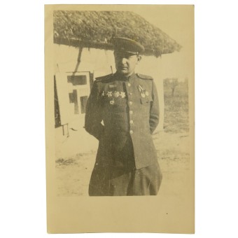 Colonel in M 43 uniform with orders of Kutuzov and Nevsky. Espenlaub militaria