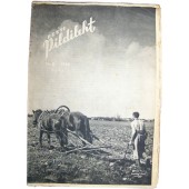 Revista de los voluntarios estonios de las SS PildiLeht