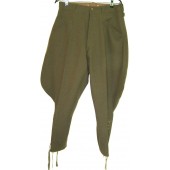 RAD or SS-TV officers trousers.