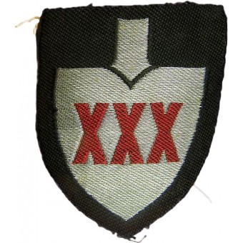 Reichsarbeitsdienst set of XXX-30 Arbeits Gauleitung flatwire embroidered officers sleeve shields. Espenlaub militaria