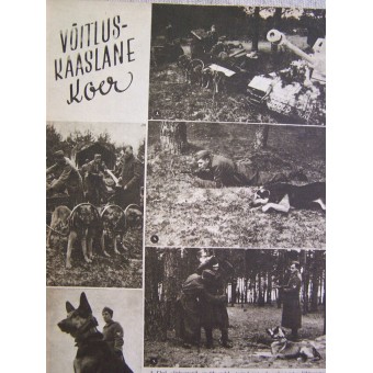 German WW2/Waffen SS estonian magazine Pildileht nr2, 1944. Espenlaub militaria