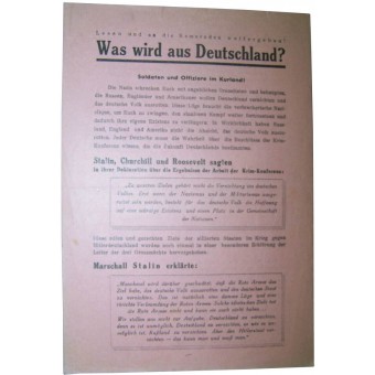 Soviet Leaflet for German troops. Was wird aus Deutschland?. Espenlaub militaria