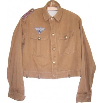 NSFK tunic. Short brown NSDAP shirt, with NSFK eagle